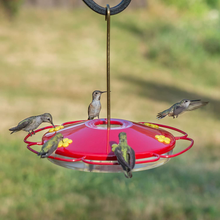 Load image into Gallery viewer, Perky-Pet 221 Hummingbird Oasis 16-Ounce Hummingbird Feeder
