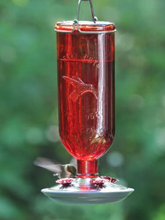 Load image into Gallery viewer, Perky-Pet 8109-2 Antique Glass Bottle Hummingbird Feeder-16-Ounce Capacity, Red
