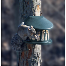 Load image into Gallery viewer, Squirrel Diner 2 Squirrel Feeder
