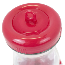 Load image into Gallery viewer, Pink 24 oz. Top-Fill Glass Hummingbird Feeder
