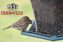 Load image into Gallery viewer, Family Farm and Feed | Four Season | Black Oil Sunflower Seed | Wild Bird Food | Backyard Songbird| 4 Pounds
