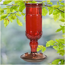 Load image into Gallery viewer, Perky-Pet 8119-2 Red Antique Bottle Hummingbird Feeder
