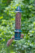 Load image into Gallery viewer, Squirrel Buster Plus Squirrel-proof Bird Feeder - Squirrel Proof

