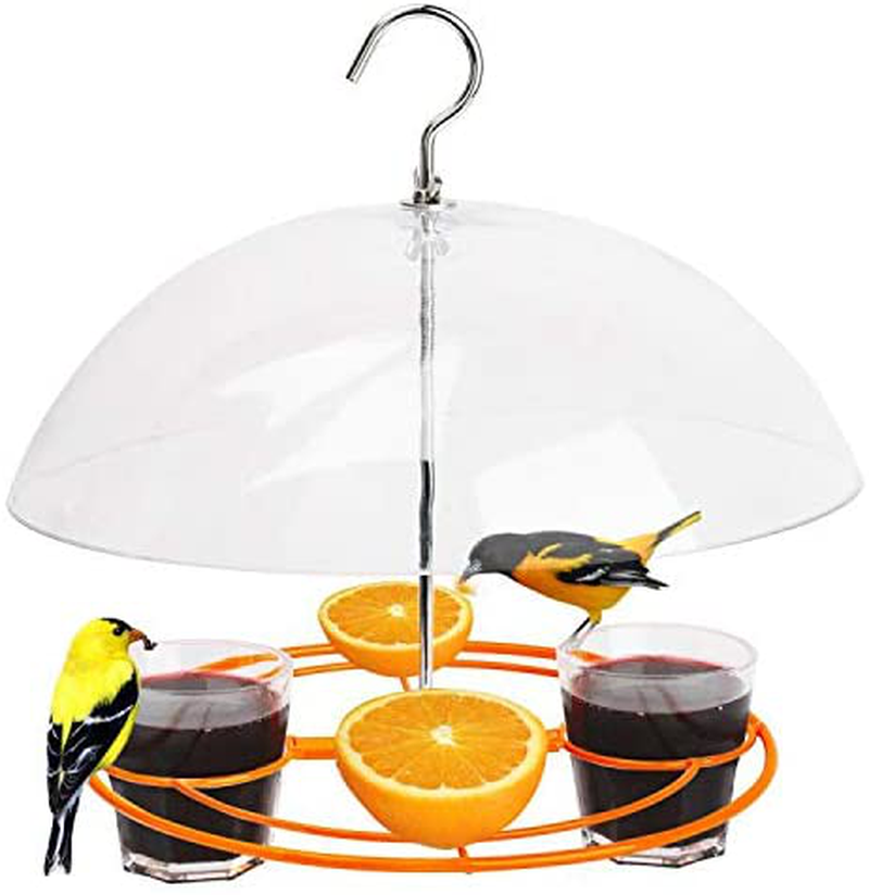 Solution4Patio Baltimore Oriole Feeder, Orange Halves Fruit & Grape Jelly, and Mealworm for Bluebirds, Weather Guard Squirrel Baffle #G-B312A00-US