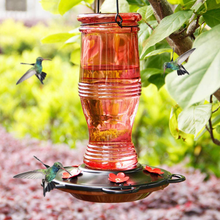 Load image into Gallery viewer, Juegoal Glass Hummingbird Feeders for Outdoors, 26 oz Wild Bird Feeder with 5 Feeding Ports, Metal Handle Hanging for Garden Tree Yard Outside Decoration, Red
