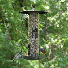 Load image into Gallery viewer, The Preserve Squirrel Proof Bird Feeder - 3 lb. Capacity
