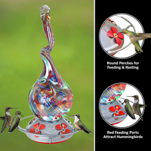 Load image into Gallery viewer, Grateful Gnome - Hummingbird Feeder - Hand Blown Glass - Gnarly Glass Neck Gourd - 16 Fluid Ounces
