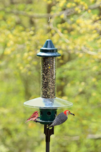 Load image into Gallery viewer, Squirrel Buster Plus Squirrel-proof Bird Feeder 
