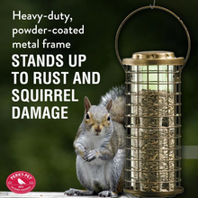 Load image into Gallery viewer, Squirrel Stumper Squirrel Proof Bird Feeder - 3 lb. Capacity
