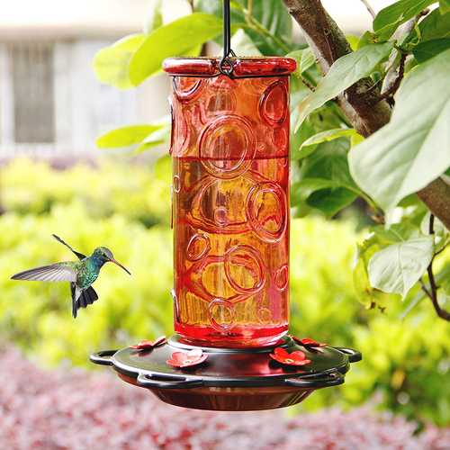 Juegoal 28 oz Glass Hummingbird Feeders for Outdoors, Wild Bird Feeder with 5 Feeding Ports, Metal Handle Hanging for Outdoor Garden Tree Yard, Red