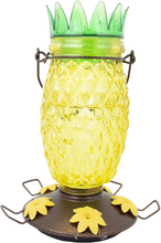 Load image into Gallery viewer, Perky-Pet 9111-2 Cactus Top-Fill Glass Hummingbird Feeder – 32 oz

