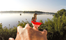Load image into Gallery viewer, Hummingbird Ring Feeder (Red)
