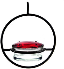Load image into Gallery viewer, Beautiful Small Glass Hanging Hummingbird Feeder - Attracts Hummers Like Crazy!
