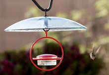 Load image into Gallery viewer, Best Small Glass Hummingbird Feeder with Red Perch

