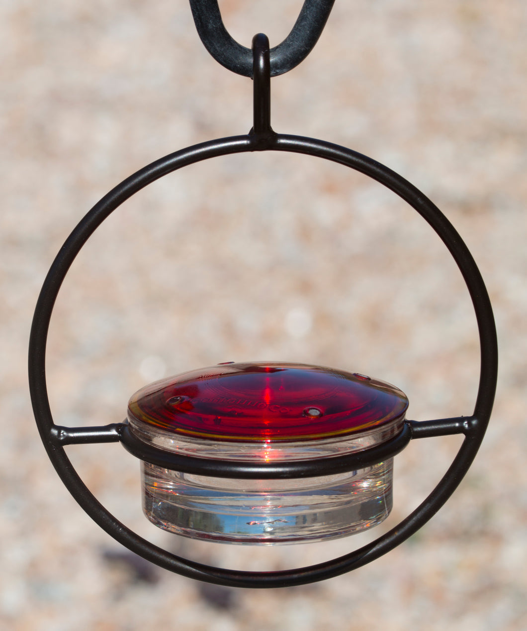 Beautiful Small Glass Hanging Hummingbird Feeder - Attracts Hummers Like Crazy!