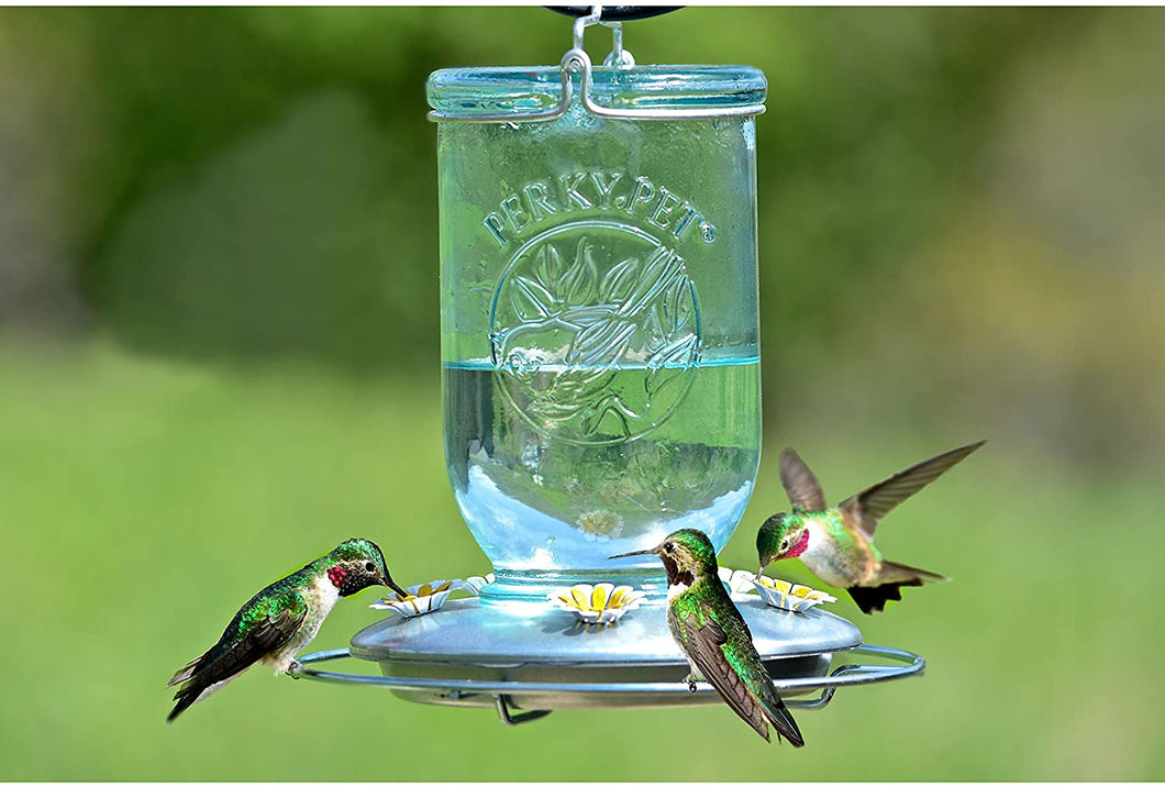 Blue Mason Jar Glass Hummingbird Feeder - Holds 32 oz of Nectar