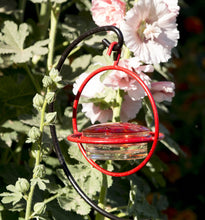 Load image into Gallery viewer, Best Small Glass Hummingbird Feeder with Red Perch
