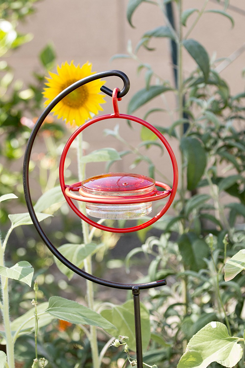 Best Small Glass Hummingbird Feeder with Red Perch