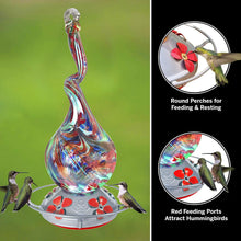 Load image into Gallery viewer, 16 Oz Gnarly Glass Neck Gourd Hand Blown Glass Hummingbird Feeder
