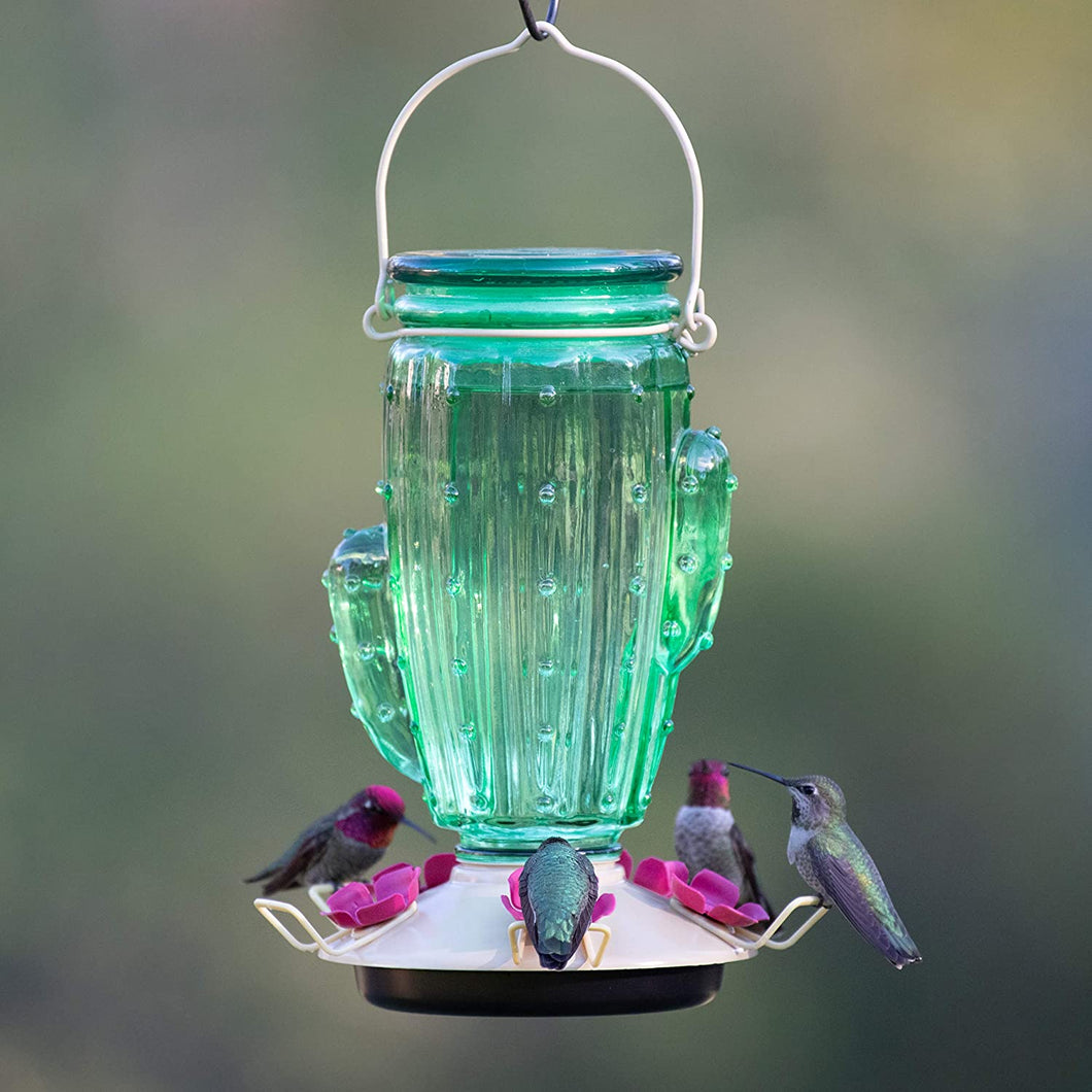 Cactus Glass Hummingbird Feeder - Holds 32 oz of Nectar