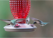 Load image into Gallery viewer, Red Hobnail Vintage Glass Hummingbird Feeder - Holds 16 oz of Nectar
