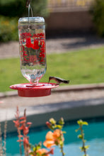 Load image into Gallery viewer, Best Hummingbird Feeder with Huge 32oz Glass Nectar Tank
