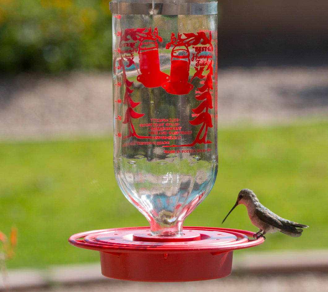 Best Hummingbird Feeder with Huge 32oz Glass Nectar Tank