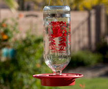 Load image into Gallery viewer, Best Hummingbird Feeder with Huge 32oz Glass Nectar Tank
