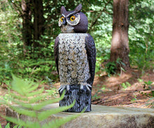 Load image into Gallery viewer, Hand Painted Owl Scarecrow with Rotating Head
