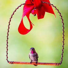 Load image into Gallery viewer, Best Copper Hummingbirds Swing
